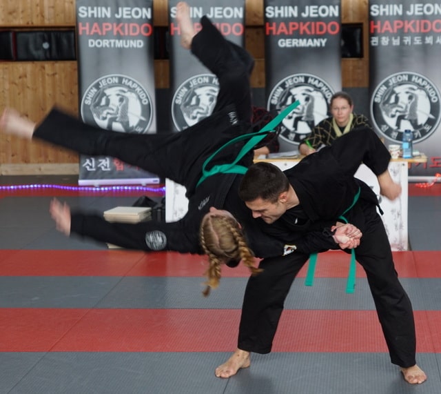 Hapkido - Zwei Tage Kampfkunstprüfung, 33 neue Gürtelfarben